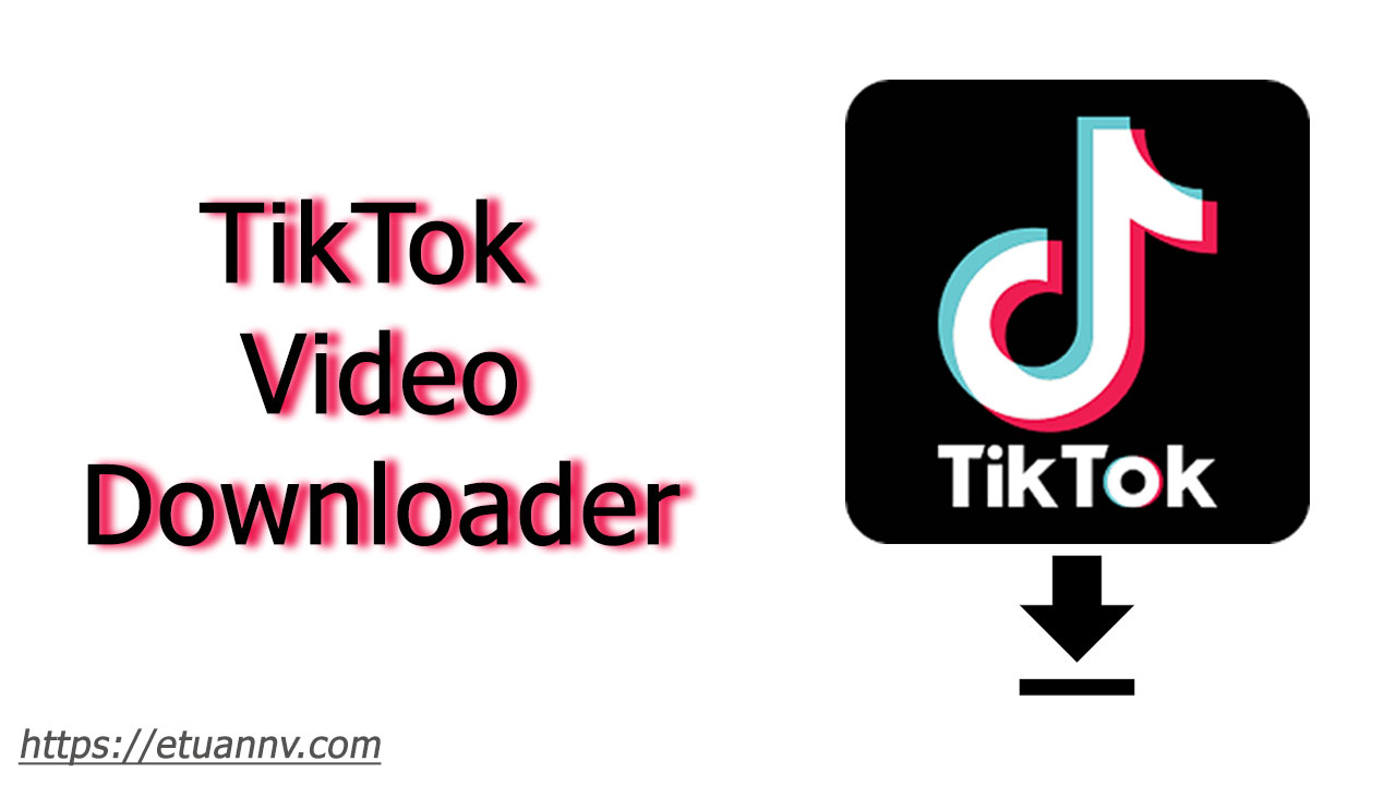 tik tok video dowlander